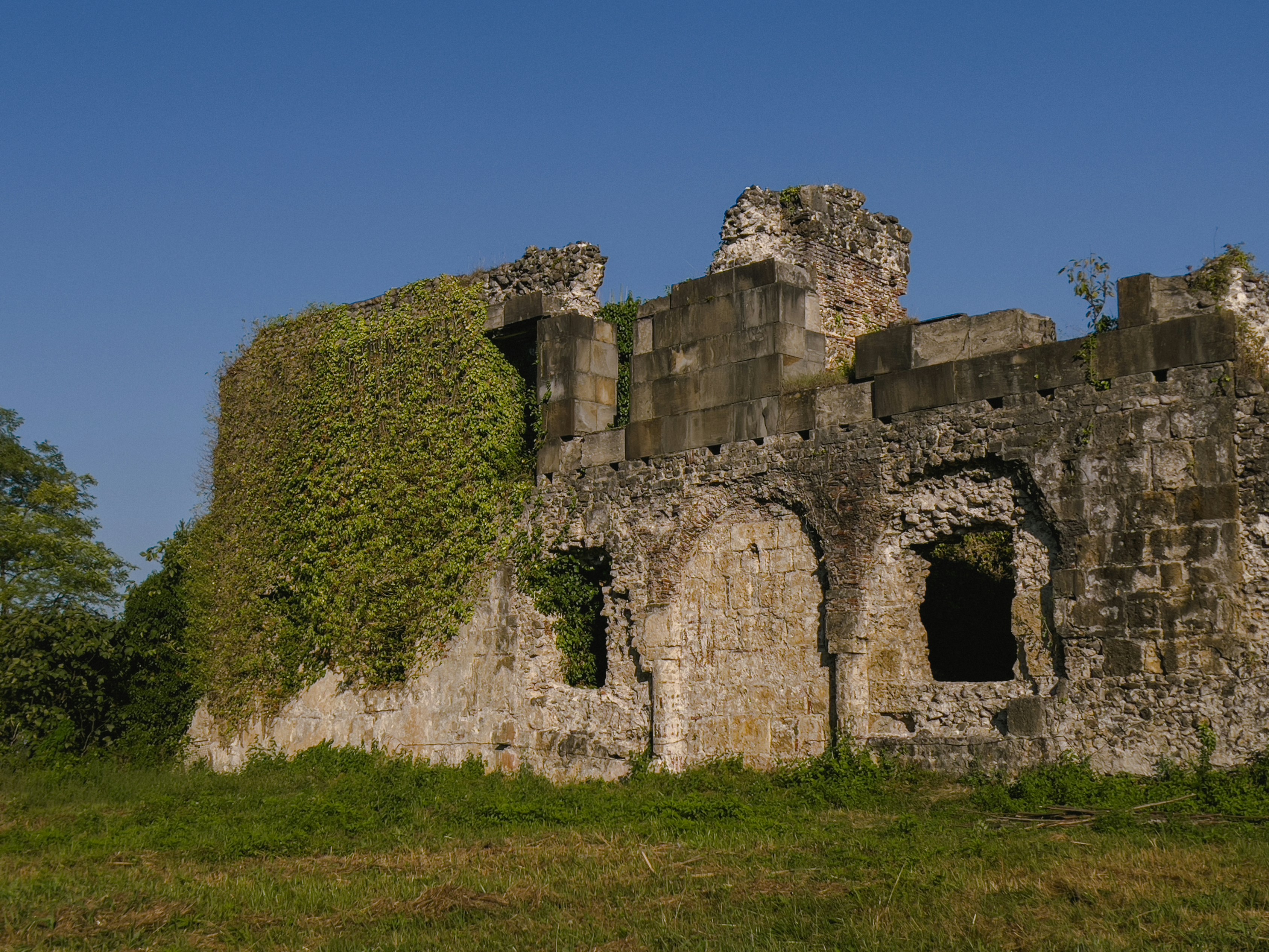 Festival of Archaeology